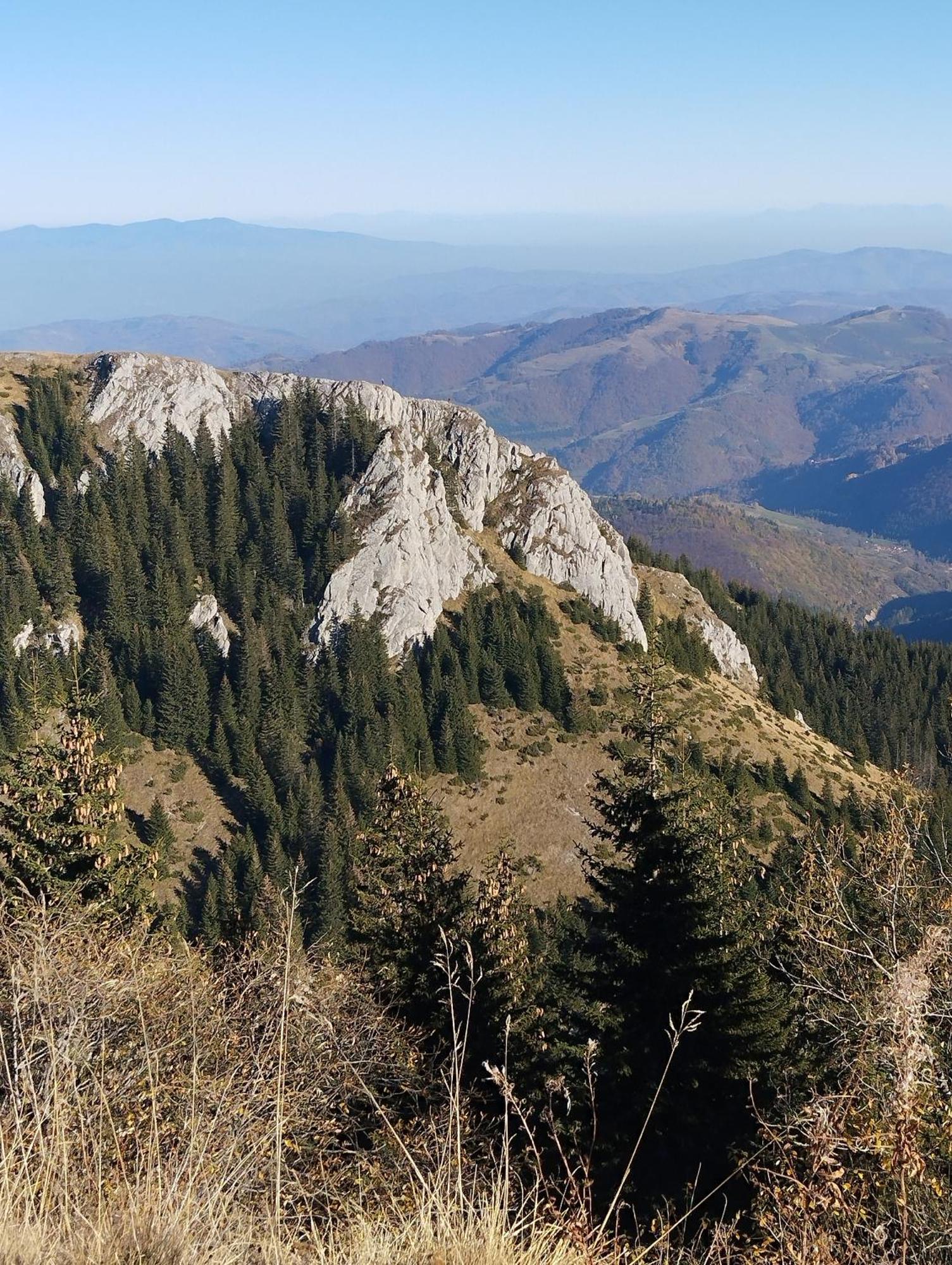 Apartmán Lela Kop Kopaonik Exteriér fotografie